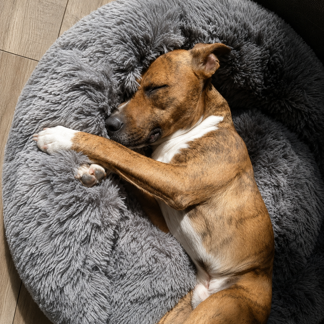 Perro durmiendo en cama Peludex